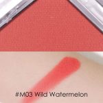 M03 Wild Watermelon